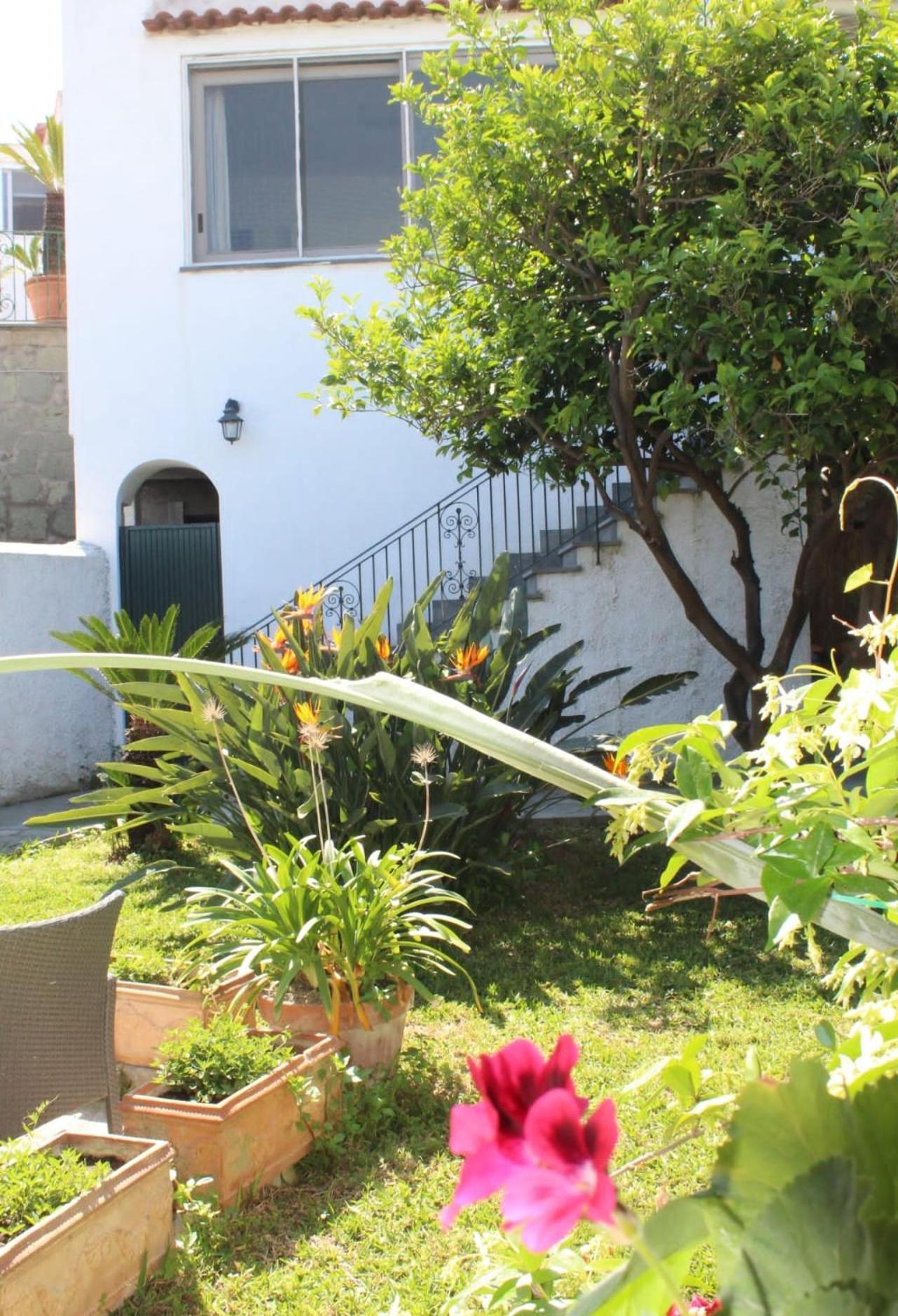 Chez Marie Ischia Villa Eksteriør bilde